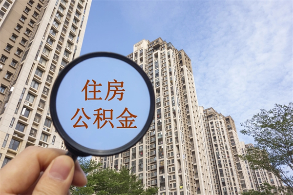 哈尔滨辞职了公积金怎么样才能取出来（辞职了住房公积金怎么全部取出来）